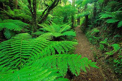 《星球大战绝地：幸存者》MTC遭差评轰炸 PC版仅1.4分